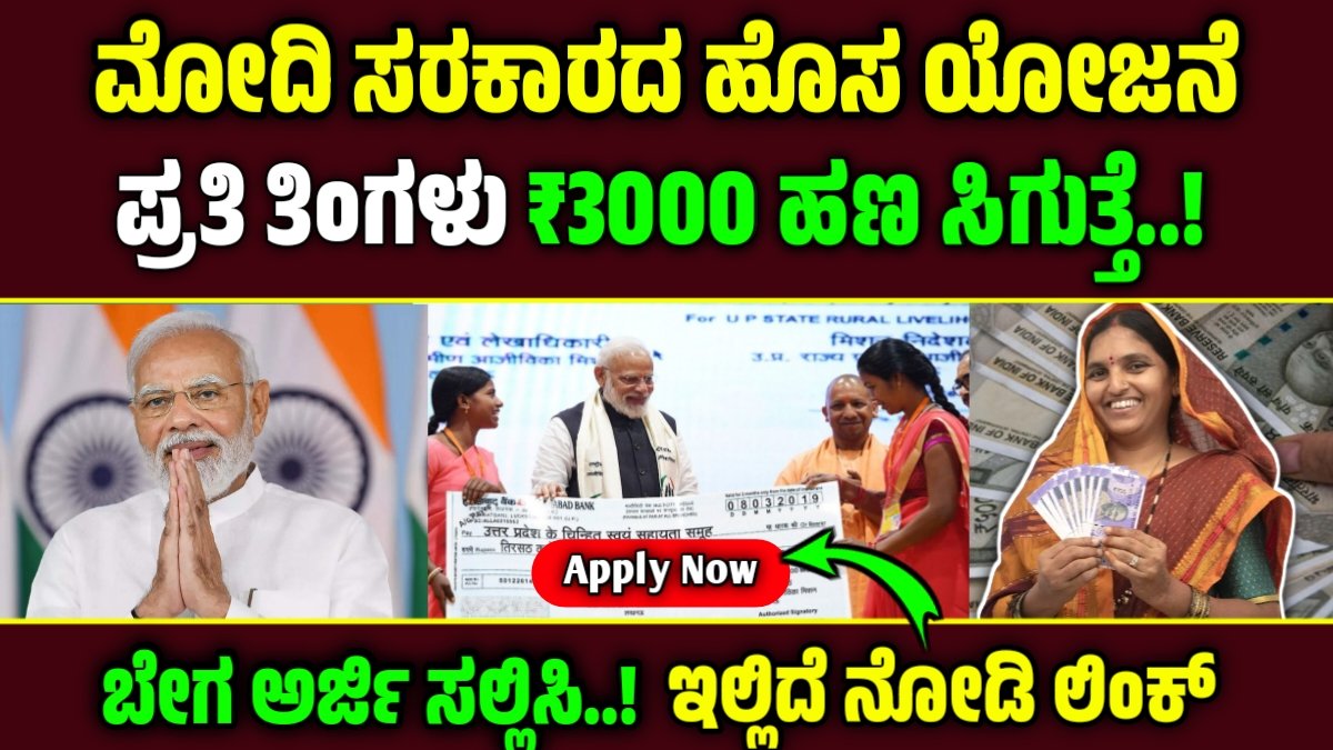 New guarantee scheme